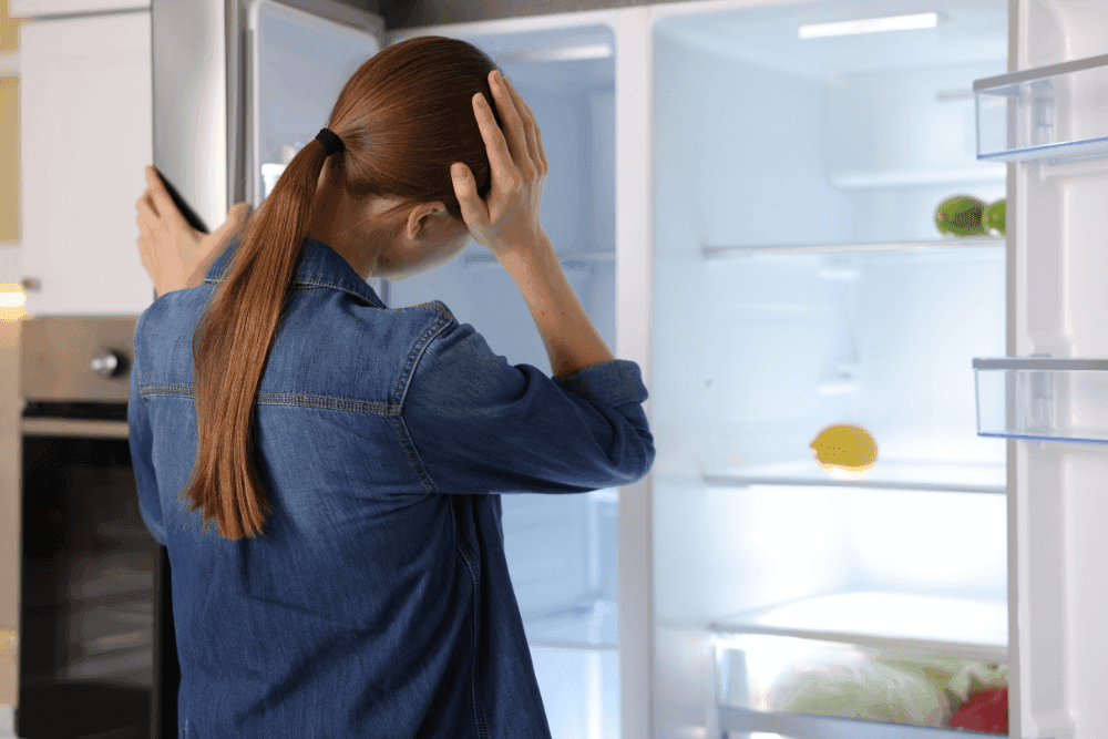 Why Your Bosch Fridge is Sweating: Condensation Control in Dubai's Humidity